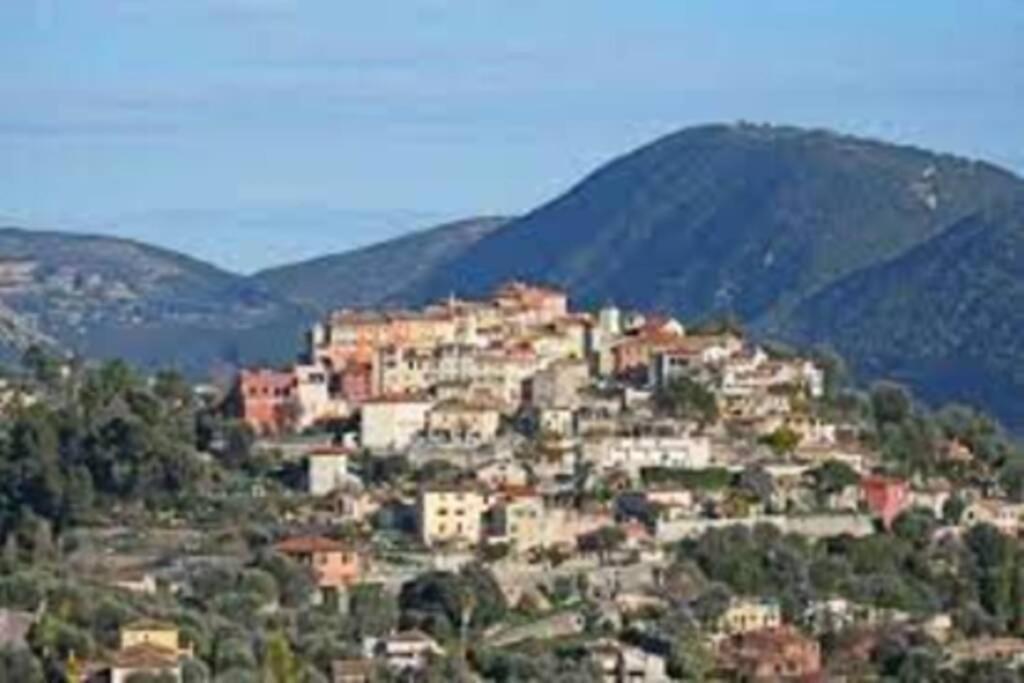 Appartement 3 Pieces Dans Villa Individuelle Falicon Εξωτερικό φωτογραφία